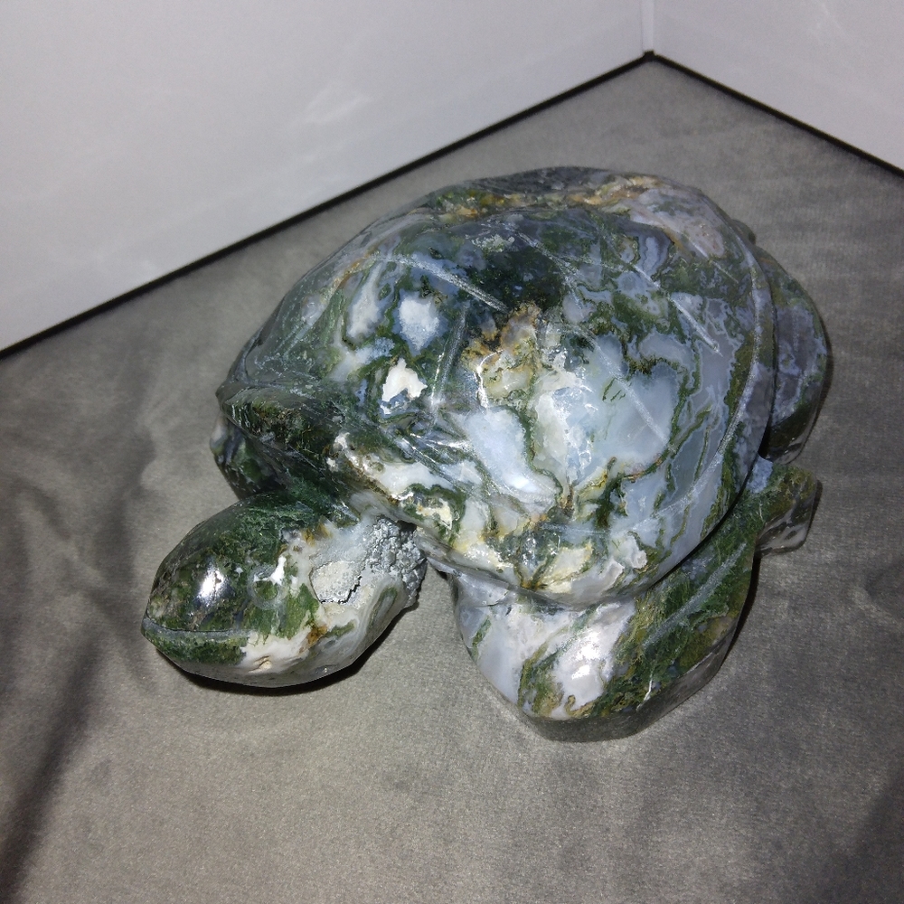 Moss agate Sea Turtle with druzy large